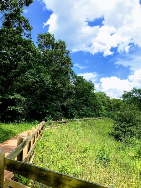 Trail, prairie and trees at Indiana Dunes National Park