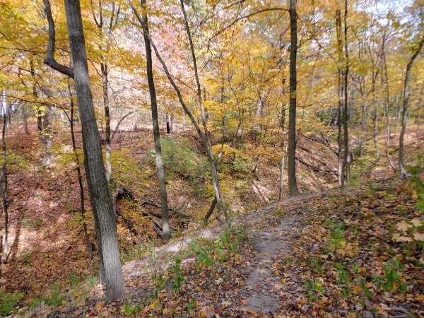 Walking in Swallow Cliff Woods in the Fall