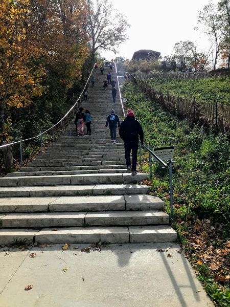 People walking up and down stairs for exercise at Swallow Cliff Woods