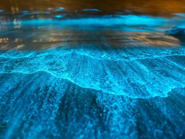 The glowing water in Puerto Rico's bioluminescent bays