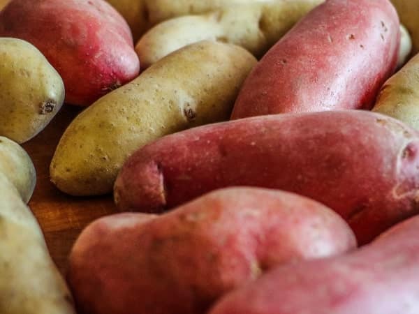 potatoes, a nutrient-dense food, russet and red potatoes in a bunch together