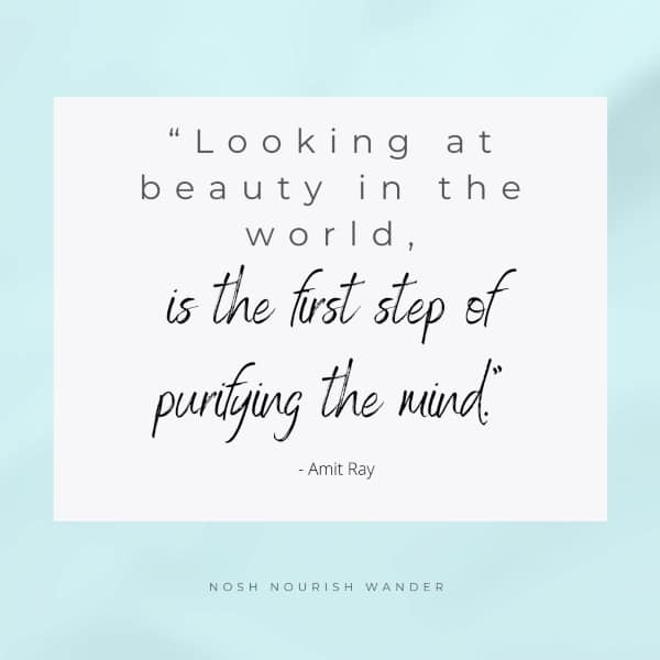 "looking at beauty in the world, is the first step of purifying the mind."