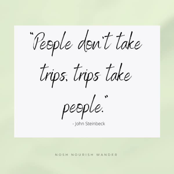 mindfulness quote, people don't take trips, trips take people. 