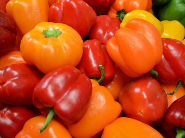 Orange, red, yellow, and green bell peppers