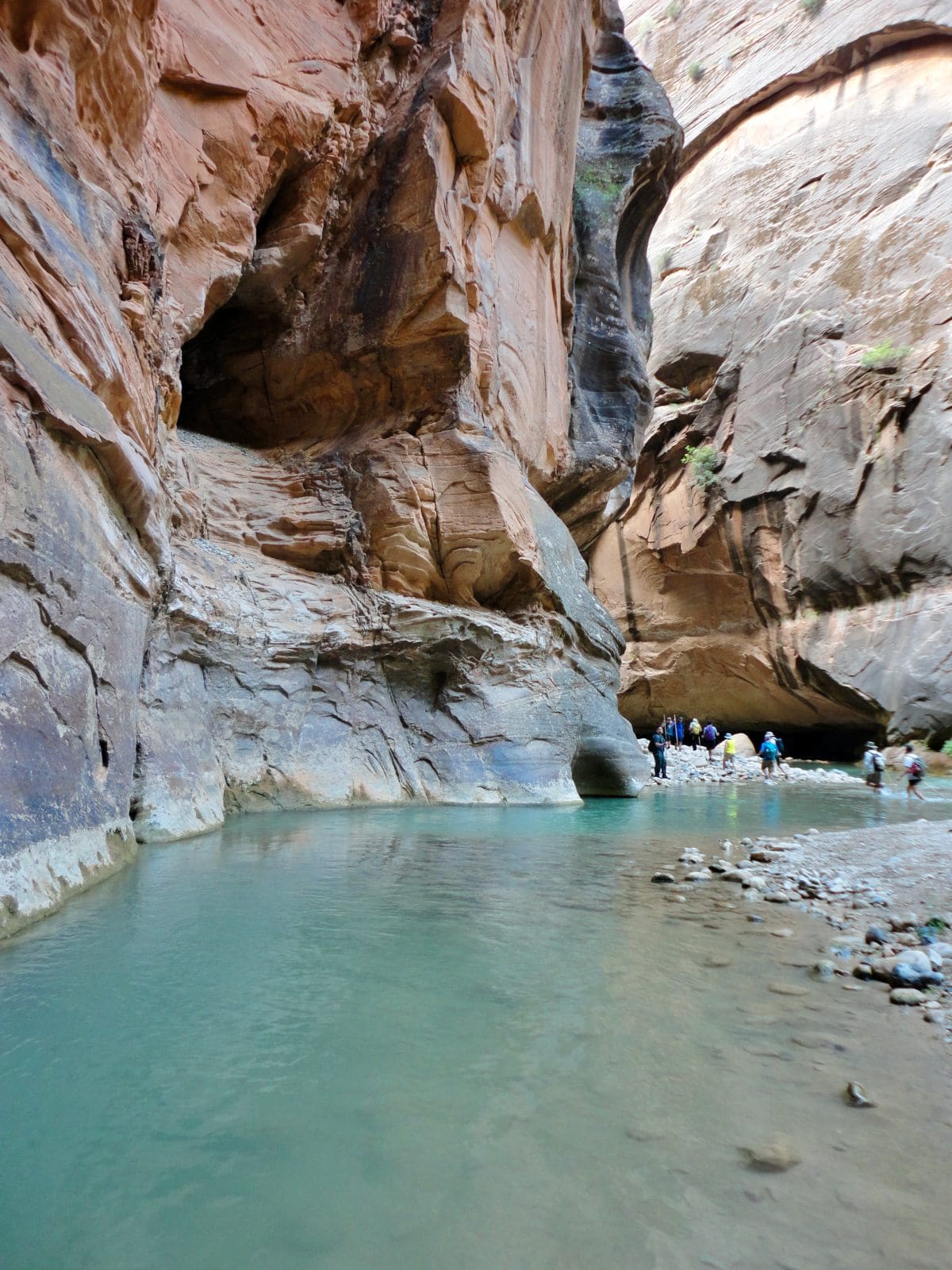 best hiking trails in zion national park, the Narrows trail, view of the Virgin River and tall walls of the canyon
