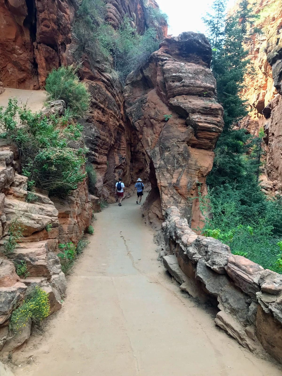 best hiking trails in zion national park, hiking trail between red sandstone rocks